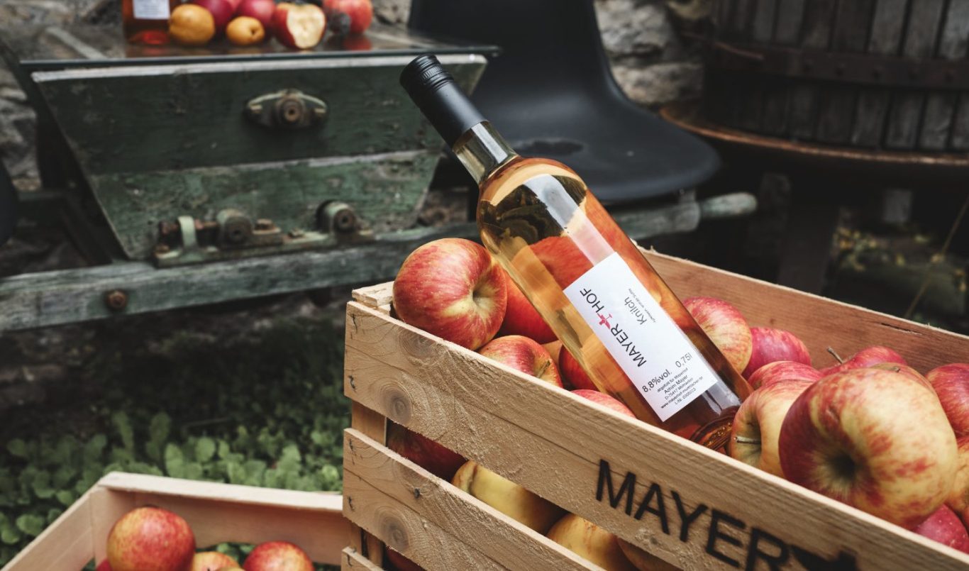 Mayerhof - Apfelwein Knilch Während der Apfelernte mit dem Apfelwein Knilch
