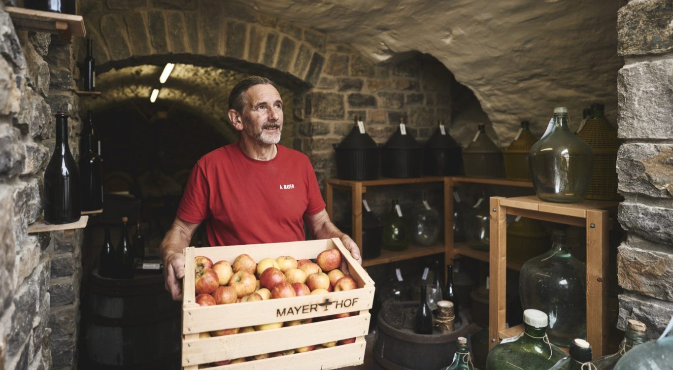 Mayerhof - Achim Mayer bei der Arbeit Achim Mayer in seinem Weinkeller mit einer Apfelkiste in den Händen
