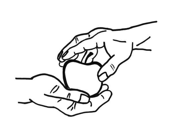 Mayerhof Mühlacker - Illustration Apfelernte Illustration einer Apfelernte von Achim Mayer